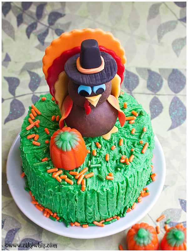 Iced Thanksgiving Cake With Turkey and Pumpkin Decoration