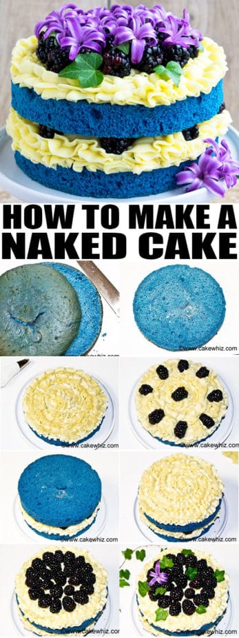 Easy Naked Cake Tutorial Blue Velvet Cake CakeWhiz