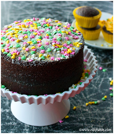 best chocolate cake and cupcakes 13