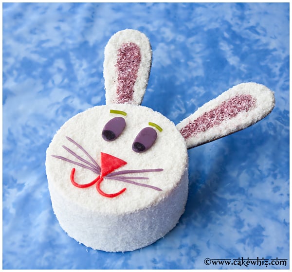 Easter Bunny Cake Recipe - BettyCrocker.com