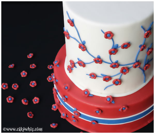 Homemade Fourth of July Cake on Black Background- Overhead Shot