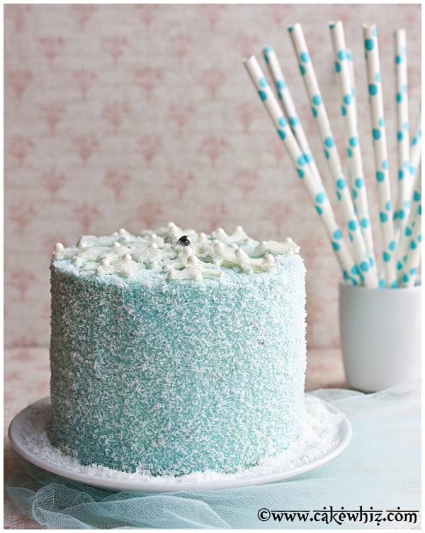 Winter Cake With Icing, Sparkling sugar, Melted Chocolate on White Dish