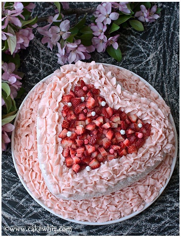 Red, White, and Blue Cake - Simple Joy