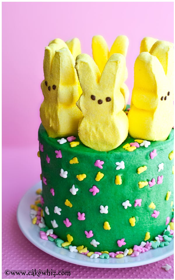 Easy Easter Cake With Peeps Marshmallows 