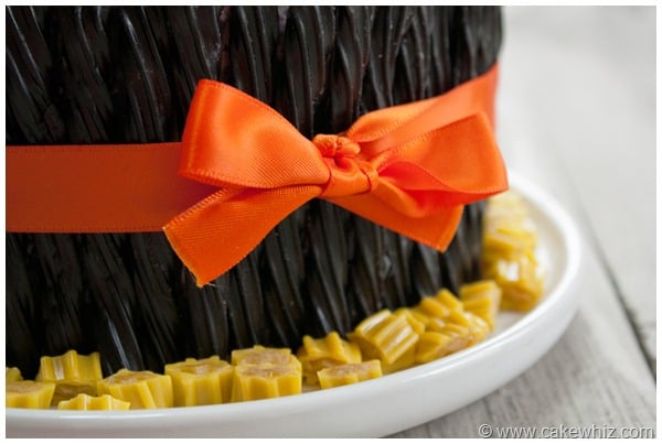 Closeup Shot of Bow Decoration on Cake