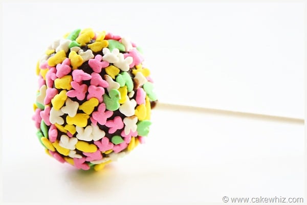 How to decorate cake pops (Easy For Beginners)