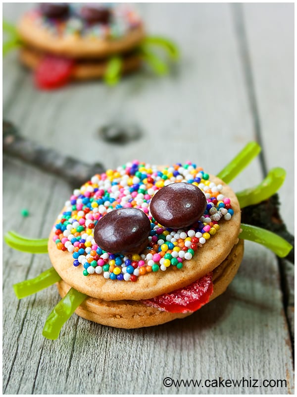 Easy Oreo Spider Cookies on Rustic Background