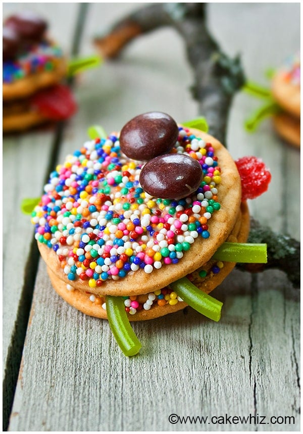 Halloween Spider Biscuits With Sprinkles on Branch