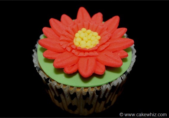 How to Make Daisy Cupcakes - CakeWhiz
