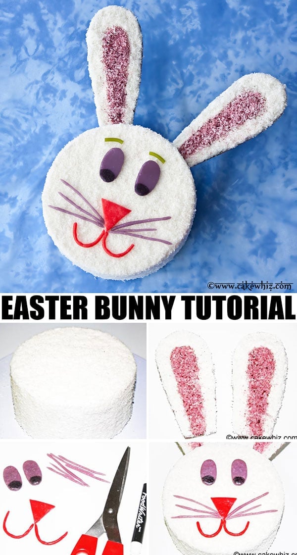 Collage Image With Step by Step Process Shots on How to Make Easy Bunny Cake. 