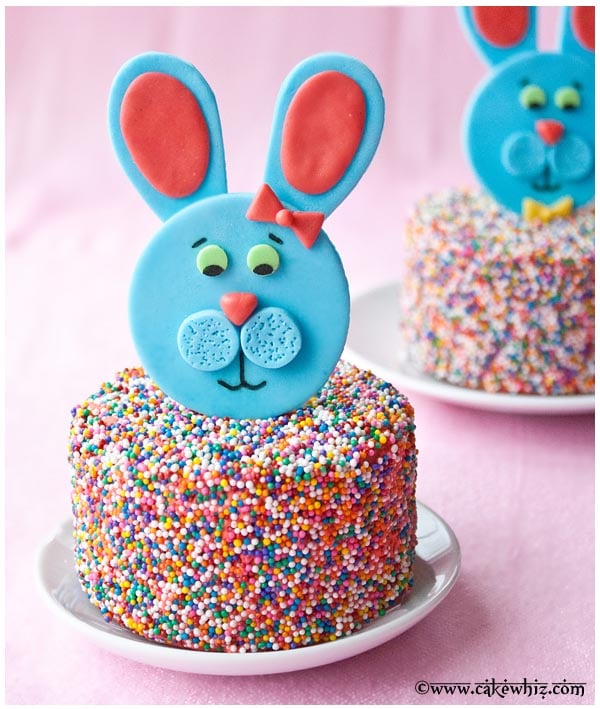 Easy Easter Bunny Cake (Egg and Milk Free!) – Simplistically Living