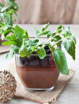 Chocolate Pudding Recipe Pots (For Earth Day)
