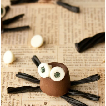 Easy Edible Chocolate Spiders For Halloween on Rustic Brown Background