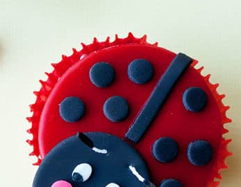 Miraculous Ladybug Kids Girl Birthday Fondant Cake