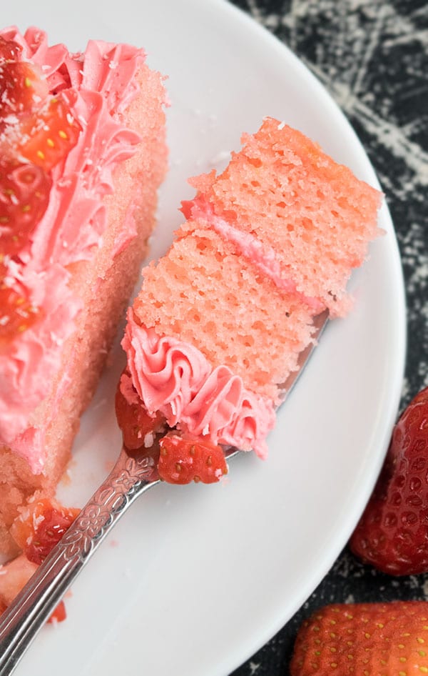 Fork Full of Cake on White Dish- Closeup Shot