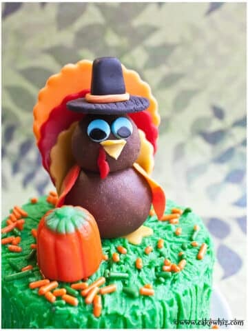 Easy Homemade Fondant Turkey Topper on Top of Thanksgiving Cake.