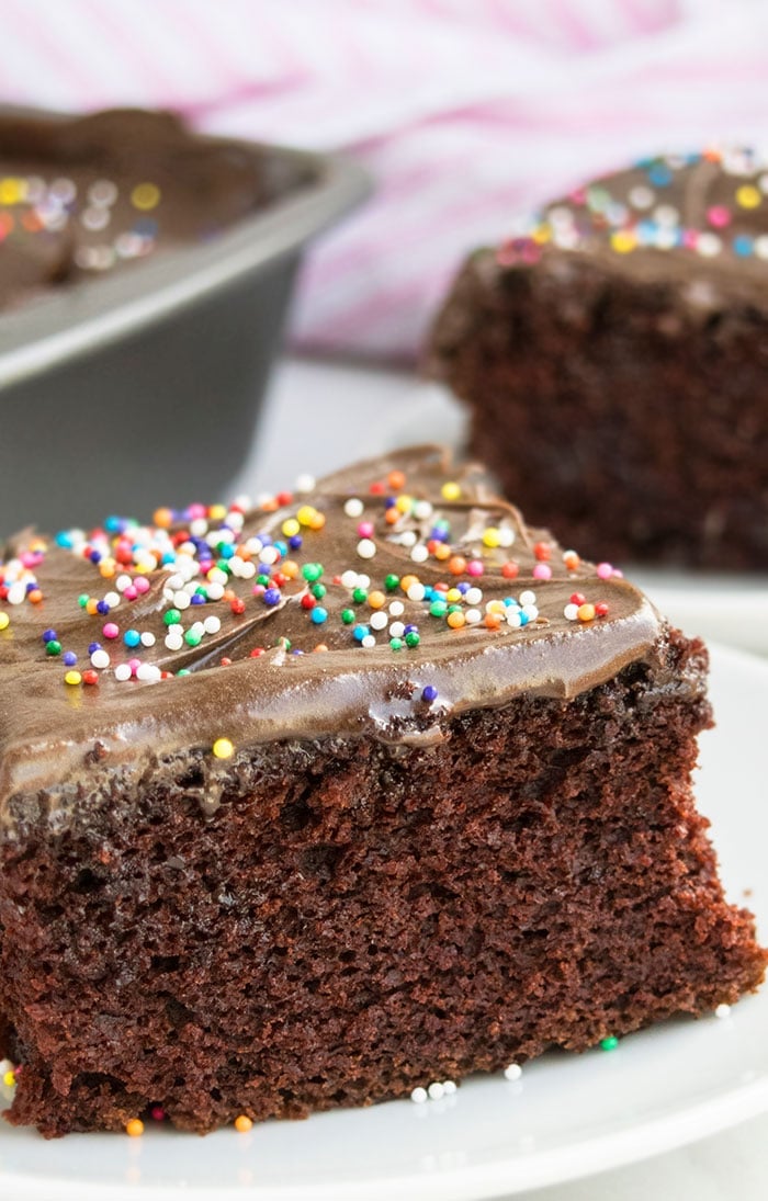 Vegan Chocolate Cake in White Plate