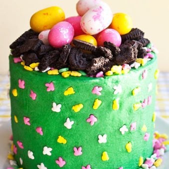 Easy Easter Egg Cake or Nest Cake on White Plate With Yellow Background.