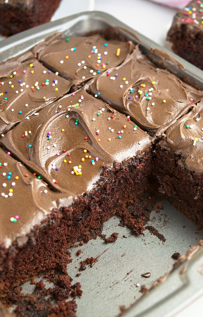 Crazy Wacky Chocolate Cake Slices in Square Pan