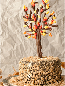 Easy Chocolate Tree Cake With Rustic Background