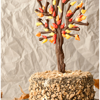 Easy Chocolate Tree Cake With Rustic Background