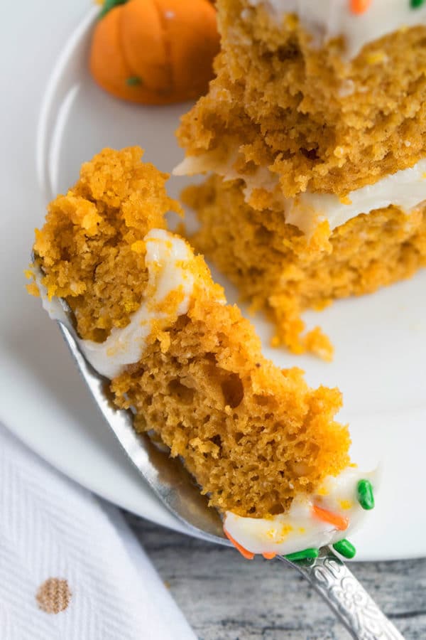 Easy Pumpkin Cake Recipe With Cake Mix - CakeWhiz