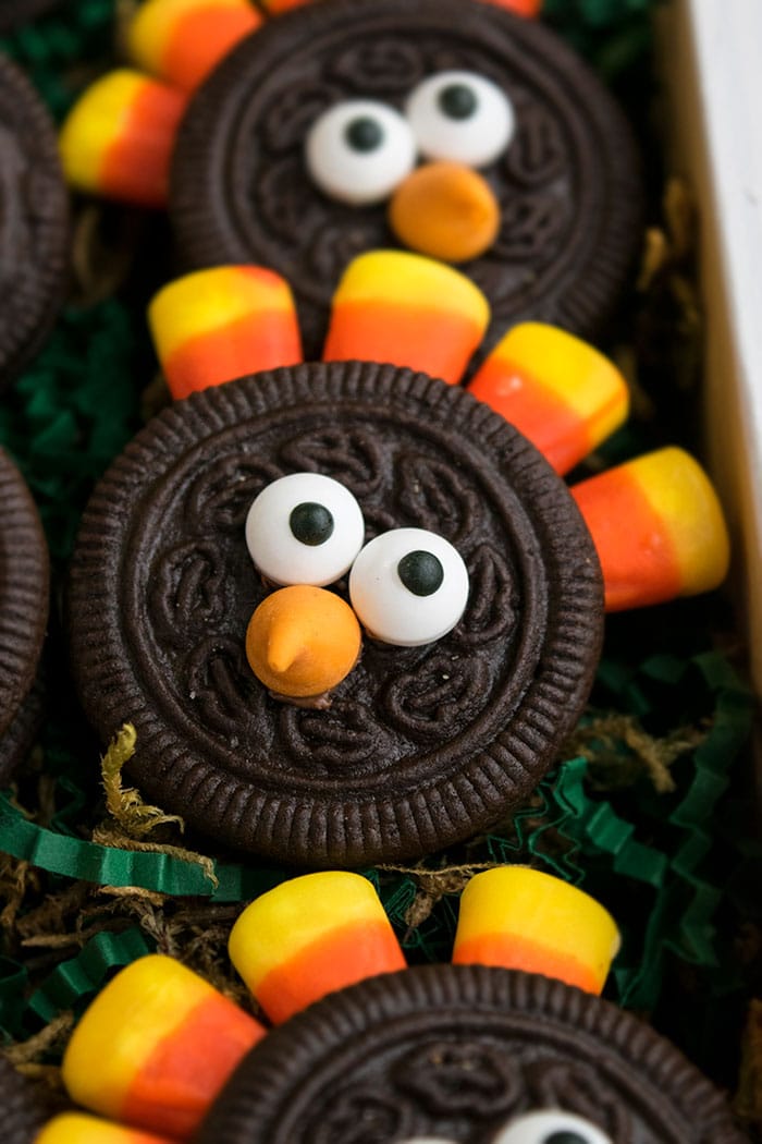 Decorated Oreos For Fall and Thanksgiving on Tray- Closeup Shot.  