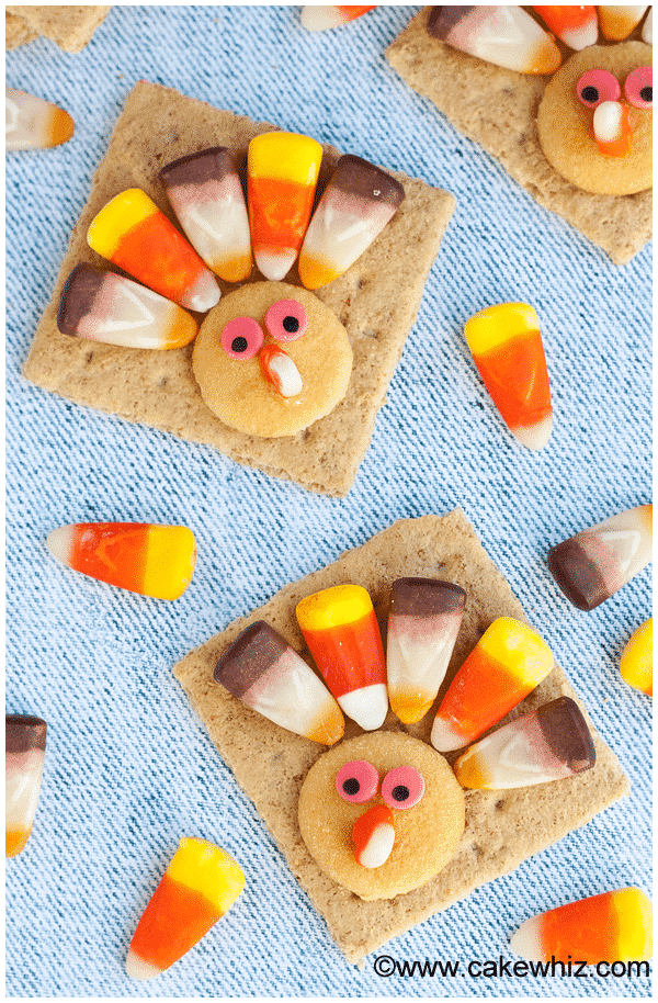 Easy Turkey Cookies