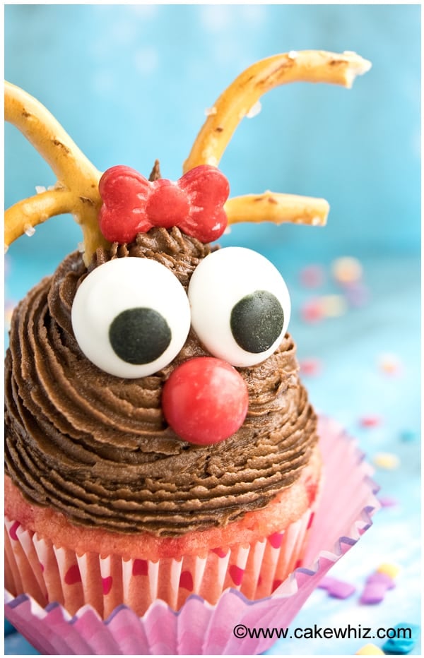 Closeup Shot of Decorated Christmas Holiday Cupcake on Blue Background.