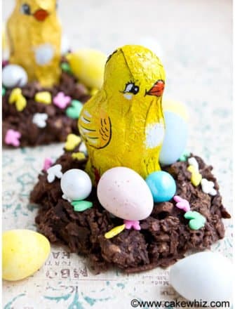 Easy Birds Nest Cookies (Easter Chocolate Nest) on Rustic Background