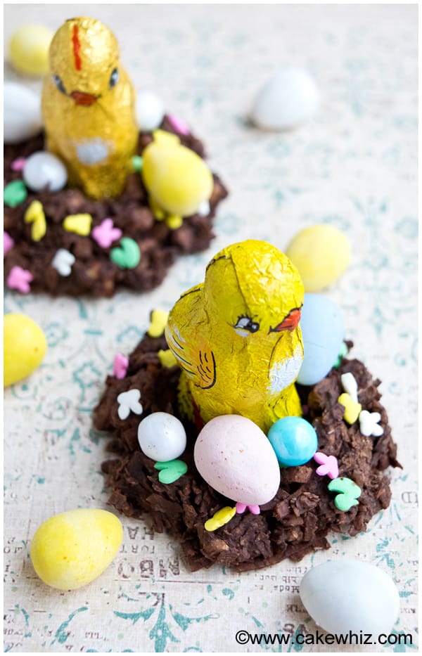 Chocolate Nest Filled With Chocolate Bird and Eggs on Rustic Background
