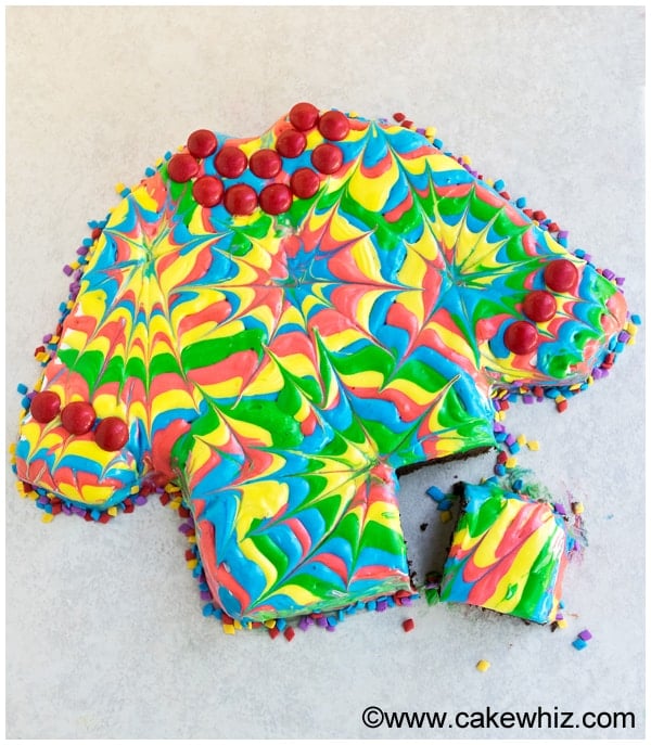 Homemade Tie Dye Cake With a Slice Cut Out- Overhead Shot