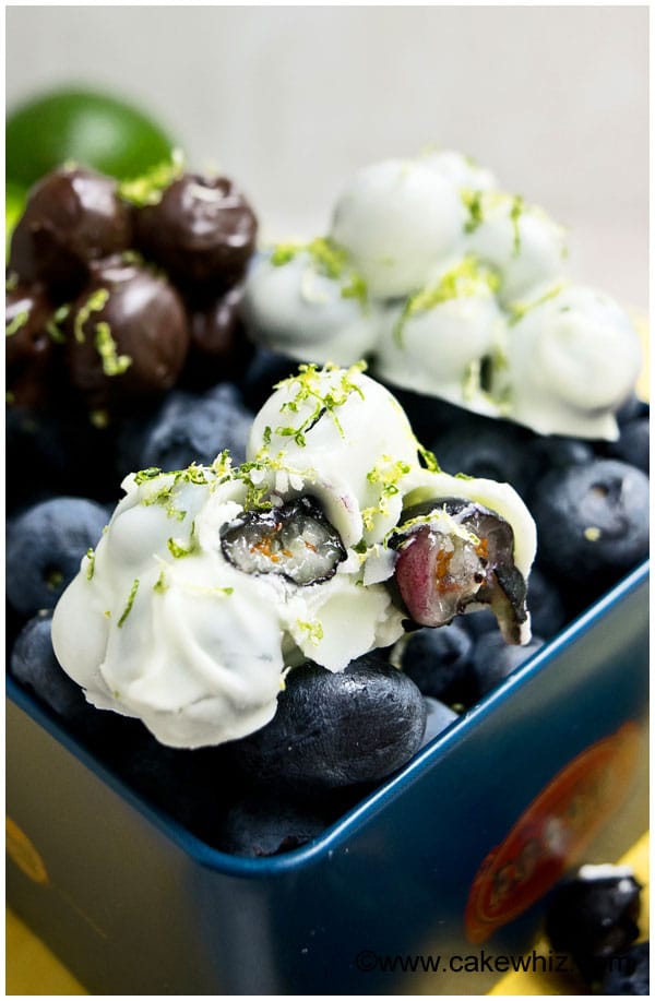 Blueberry Chocolate Clusters with Lime Zest