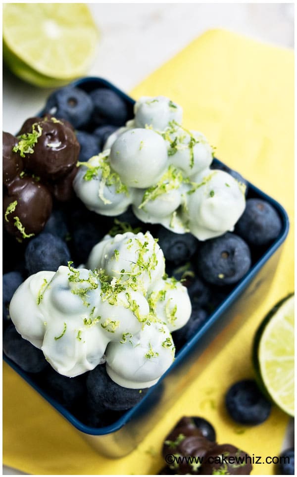 Easy No Bake Chocolate Covered-Blueberries Recipe (Skinny Dessert)