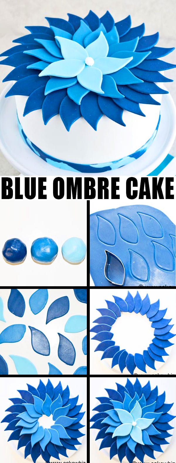 Collage Image With Step by Step Pictures on How to Make Ombre Cake