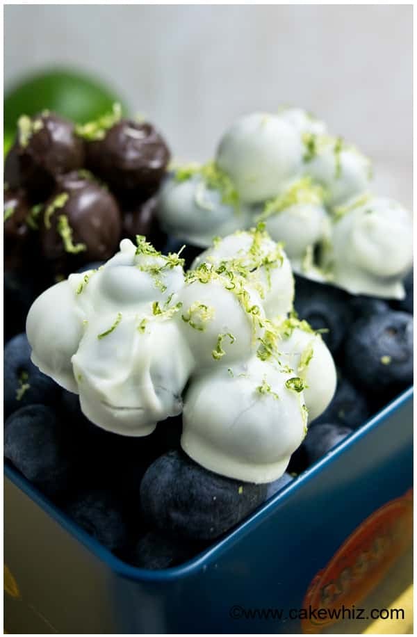 blueberry lime chocolate clusters 1