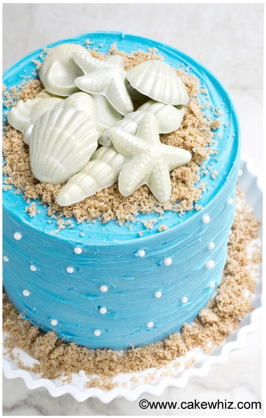 Easy Buttercream Cake Designs by Fiona Pearce - Ebook | Scribd