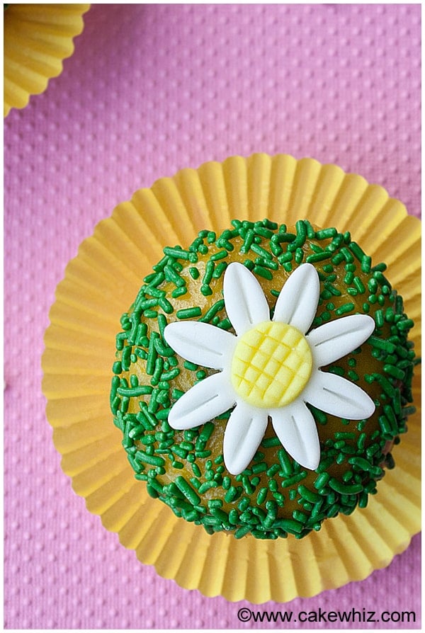 Overhead Shot of White Fondant Flower Cupcakes on Pink Background