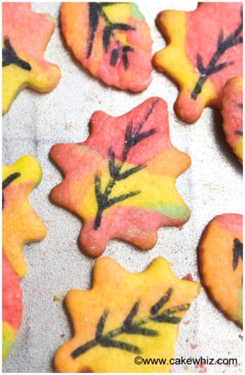 Easy Fall Cookies {Leaf Cookies} - CakeWhiz