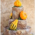 Easy Rustic Cake With Small Gourds on White Dish