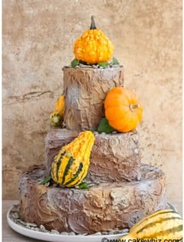 Easy Rustic Cake With Small Gourds on White Dish