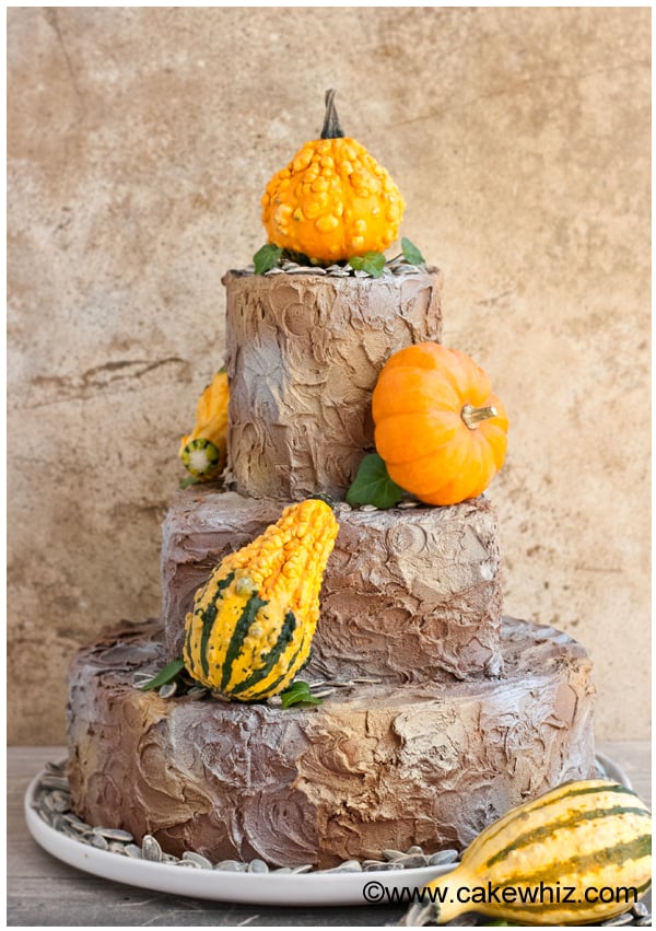 Tiered Rustic Cake With Small Gourds on White Dish With Rustic Background 
