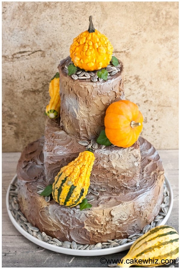 Easy Homemade Rustic Birthday Cake or Wedding Cake For Fall, Autumn or Thanksgiving on White Dish- Overhead Shot