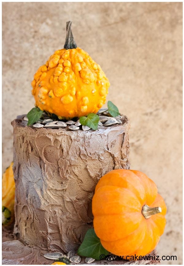 Closeup Shot of Tiered Fall Cake With Mini Pumpkins on Brown Background
