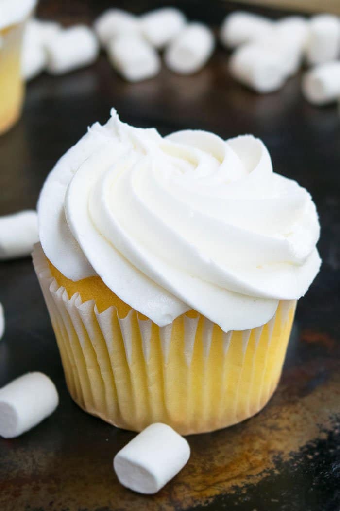 Vanilla Cupcake with Vanilla Frosting on Rustic Background