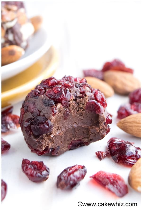 Partially Eaten Choco Truffle on White  Background- Closeup Shot