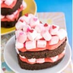 Easy Homemade Chocolate Marshmallow Cake (Heart Cake) on White Plate With Colorful Background