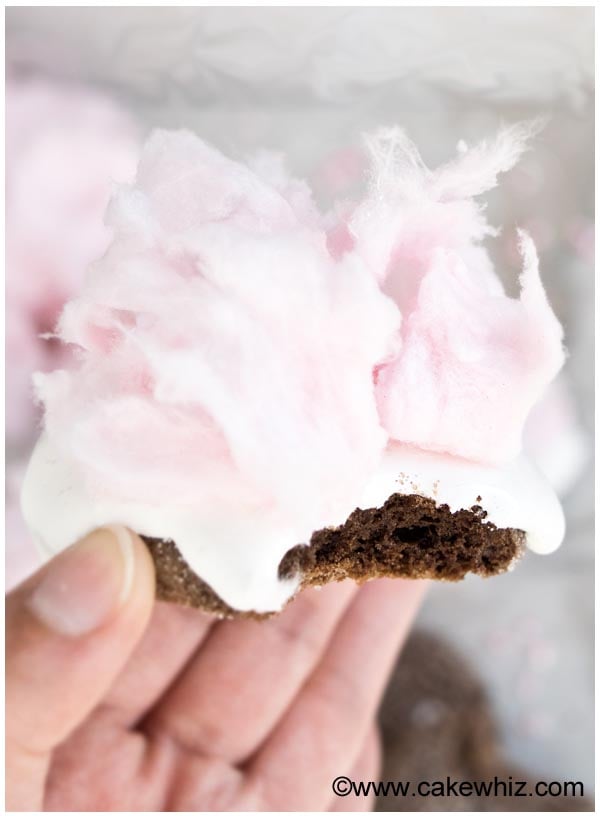 Closeup Shot of Partially Eaten Chocolate Cookie With Buttercream Icing and Pink Cotton Candy 
