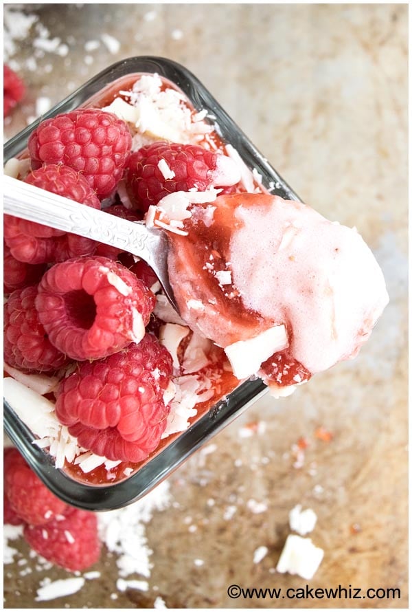 Spoonful of Chocolate Raspberry Mousse- Closeup Shot