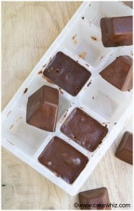 Homemade Gourmet Chocolate {ice Cube Candy} - Cakewhiz